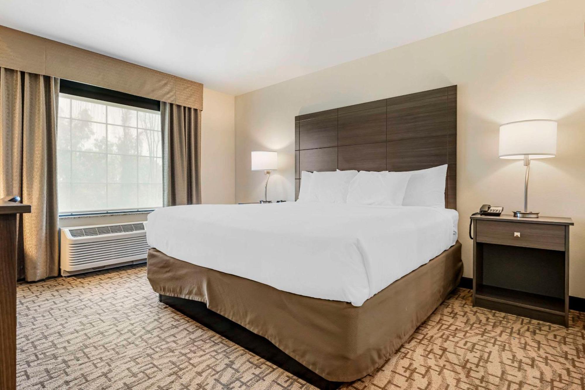 Comfort Inn & Suites Medina Ngoại thất bức ảnh